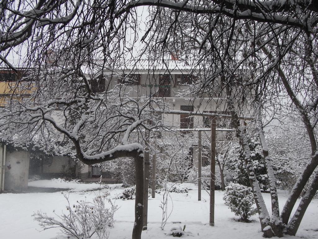 B&B Casa Passito Pavone Canavese Eksteriør billede