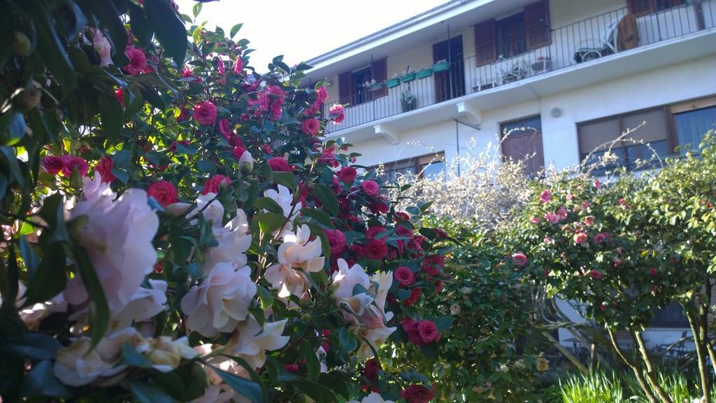 B&B Casa Passito Pavone Canavese Eksteriør billede